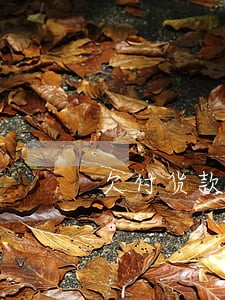 欠付货款的逾期利息 欠付货款的逾期利息