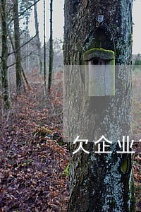 欠企业贷款逾期会怎么样 欠企业贷款逾期会怎么样