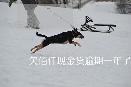 欠佰仟现金贷逾期一年了 欠佰仟现金贷逾期一年了