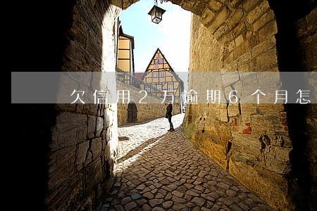 欠信用2万逾期6个月怎么办 欠信用2万逾期6个月怎么办