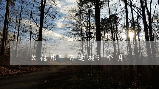 欠信用7万逾期3个月