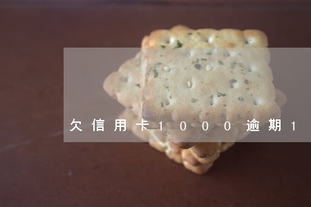 欠信用卡1000逾期1年 欠信用卡1000逾期1年