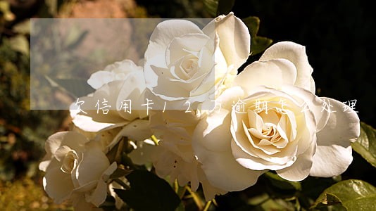 欠信用卡12万逾期怎么处理