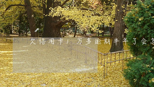 欠信用卡1万多逾期半年了会怎样 欠信用卡1万多逾期半年了会怎样