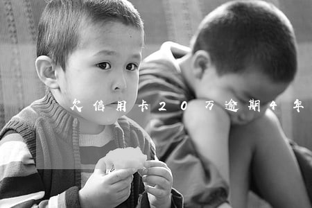 欠信用卡20万逾期4年怎么办 欠信用卡20万逾期4年怎么办