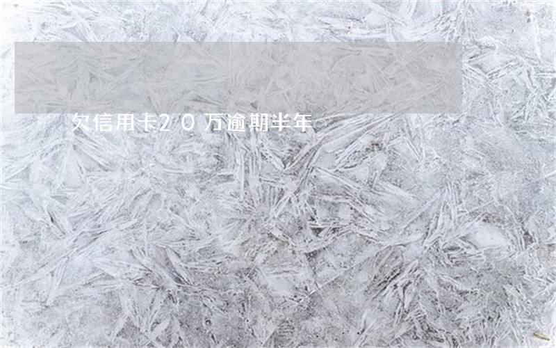 欠信用卡20万逾期半年 欠信用卡20万逾期半年