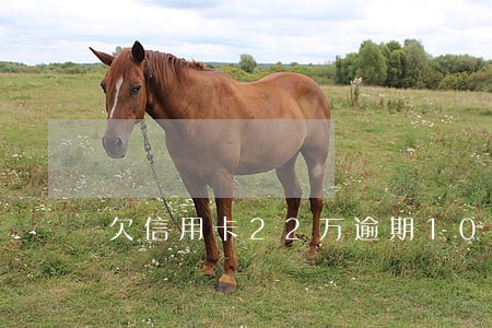 欠信用卡22万逾期10年 欠信用卡22万逾期10年