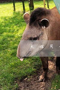 欠信用卡2万逾期5年要还多少 欠信用卡2万逾期5年要还多少