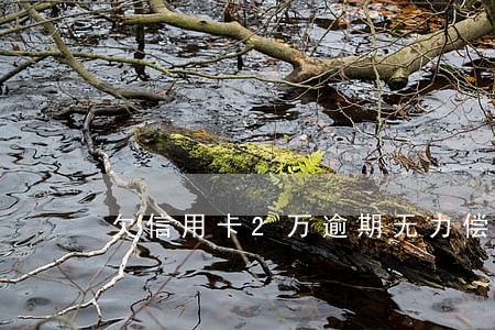 欠信用卡2万逾期无力偿还判几年 欠信用卡2万逾期无力偿还判几年