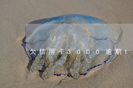 欠信用卡3000逾期1个月 欠信用卡3000逾期1个月