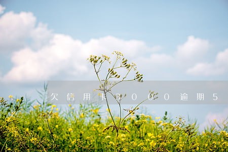 欠信用卡3000逾期50年 欠信用卡3000逾期50年