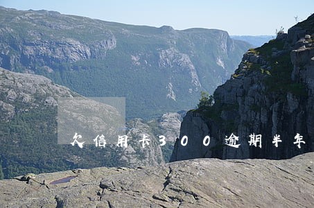 欠信用卡300逾期半年忘还 欠信用卡300逾期半年忘还