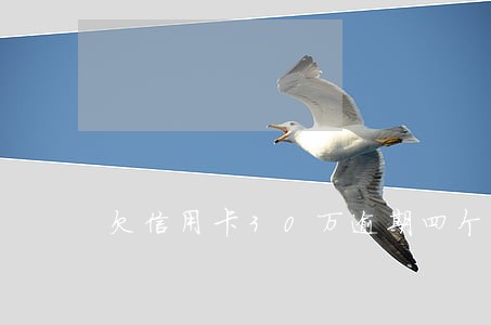欠信用卡30万逾期四个月 欠信用卡30万逾期四个月