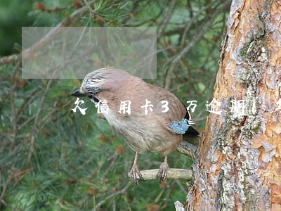 欠信用卡3万逾期1年怎么处理 欠信用卡3万逾期1年怎么处理