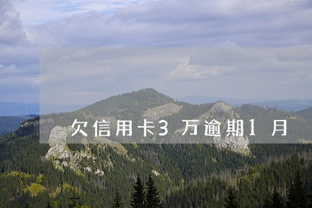 欠信用卡3万逾期1月