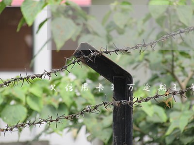 欠信用卡3万逾期3年要还多少钱 欠信用卡3万逾期3年要还多少钱