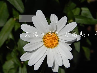 欠信用卡3万逾期5年 欠信用卡3万逾期5年