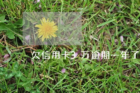 欠信用卡3万逾期一年了 欠信用卡3万逾期一年了