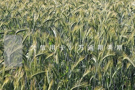 欠信用卡3万逾期两期 欠信用卡3万逾期两期