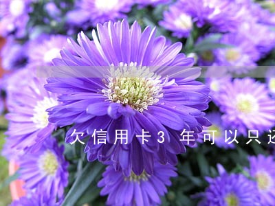 欠信用卡3年可以只还本金吗