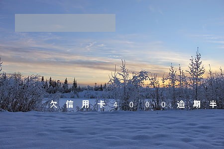 欠信用卡4000逾期半年