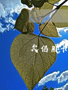 欠信用卡40万逾期100天 欠信用卡40万逾期100天