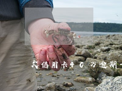 欠信用卡40万逾期一年浦发
