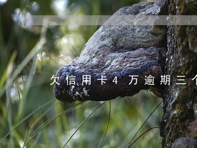 欠信用卡4万逾期三个月了 欠信用卡4万逾期三个月了