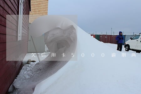 欠信用卡5000逾期两年 欠信用卡5000逾期两年