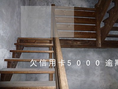 欠信用卡5000逾期四年 欠信用卡5000逾期四年