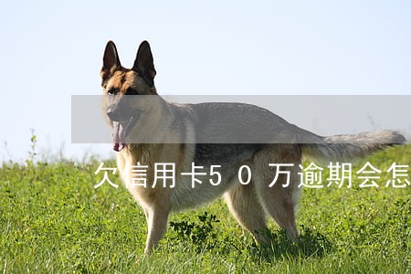 欠信用卡50万逾期会怎么样 欠信用卡50万逾期会怎么样