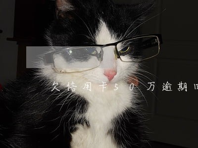 欠信用卡50万逾期四个月 欠信用卡50万逾期四个月