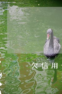 欠信用卡5800逾期 欠信用卡5800逾期