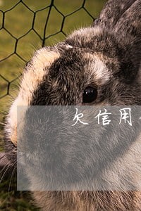 欠信用卡5万多逾期 欠信用卡5万多逾期