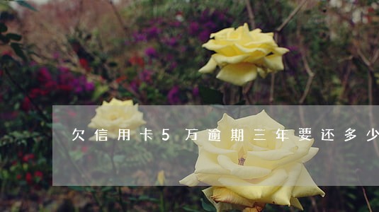 欠信用卡5万逾期三年要还多少 欠信用卡5万逾期三年要还多少