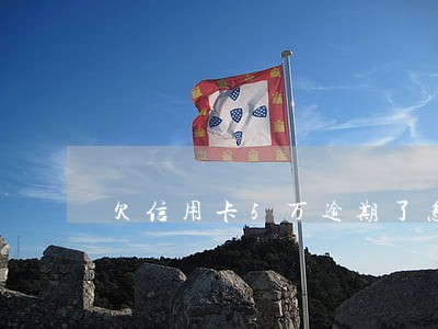 欠信用卡5万逾期了怎么办 欠信用卡5万逾期了怎么办