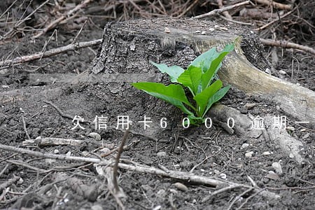 欠信用卡6000逾期一年未还款 欠信用卡6000逾期一年未还款