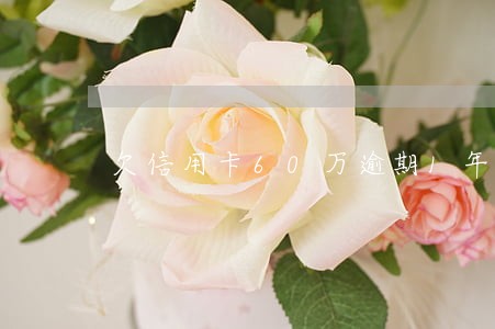 欠信用卡60万逾期1年 欠信用卡60万逾期1年