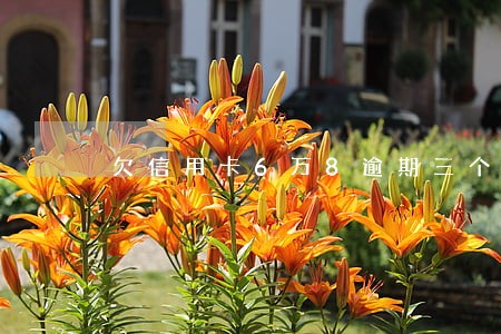 欠信用卡6万8逾期三个月 欠信用卡6万8逾期三个月