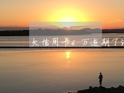 欠信用卡6万逾期了该怎么还 欠信用卡6万逾期了该怎么还