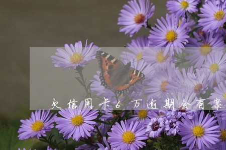 欠信用卡6万逾期会有案底么 欠信用卡6万逾期会有案底么