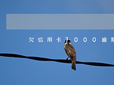 欠信用卡7000逾期4个月 欠信用卡7000逾期4个月