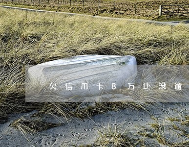 欠信用卡8万还没逾期 欠信用卡8万还没逾期