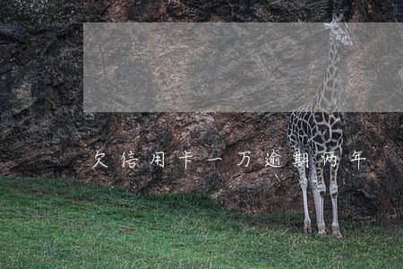 欠信用卡一万逾期两年 欠信用卡一万逾期两年