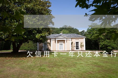 欠信用卡一年只还本金行吗 欠信用卡一年只还本金行吗