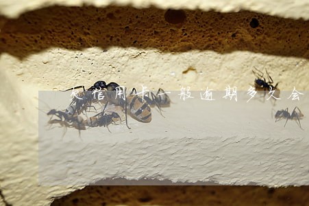 欠信用卡一般逾期多久会立案 欠信用卡一般逾期多久会立案