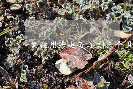 欠信用卡七万逾期三个月 欠信用卡七万逾期三个月