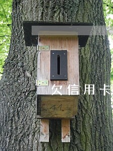 欠信用卡三万逾期会怎么样 欠信用卡三万逾期会怎么样