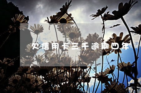 欠信用卡三千逾期四年