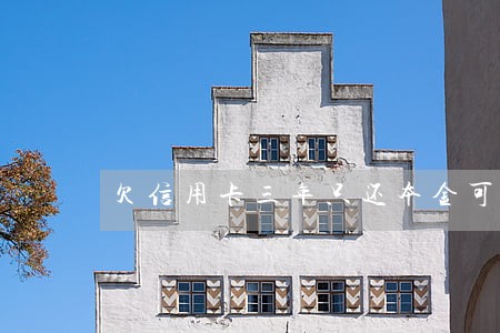 欠信用卡三年只还本金可以吗 欠信用卡三年只还本金可以吗